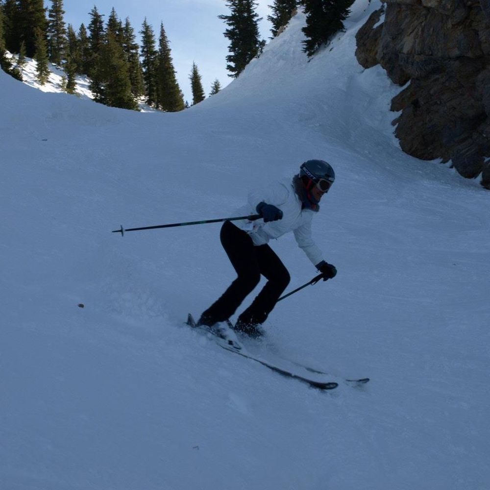 Meet your Posher, Sylvia